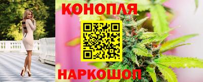 гидропоника Севастополь