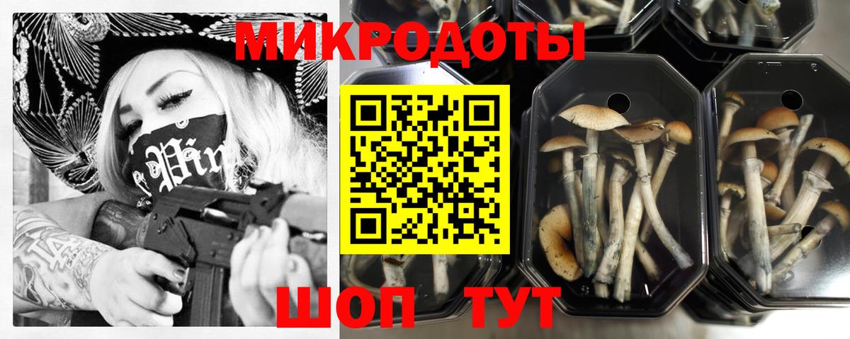 Чебоксары  Галлюциногенные грибы Magic Shrooms  Галлюциногенные грибы Magic Shrooms  Вход с VPN 
